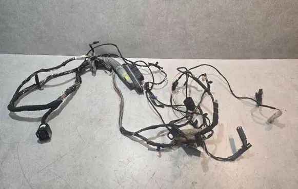 BMW X5 E70 Front door wiring loom 9242074 15701510 EEN59Z