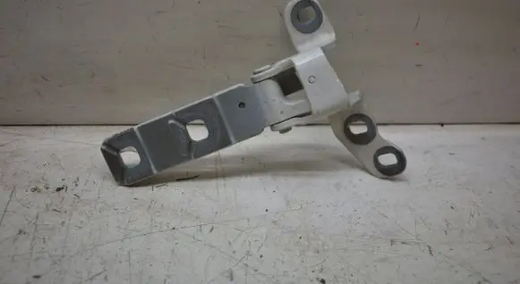 BMW X5M E70 Tailgate/trunk/boot hinge 7149627