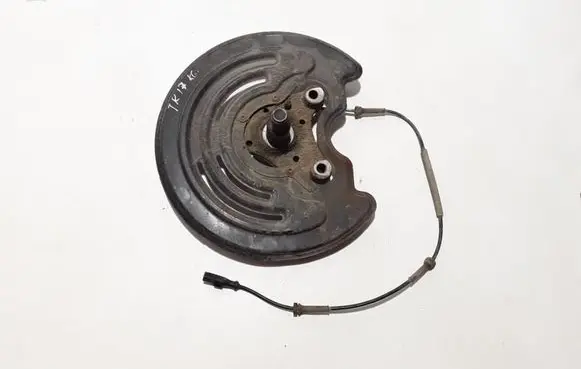 Renault Trafic III (X82) Rear wheel hub 430433572R