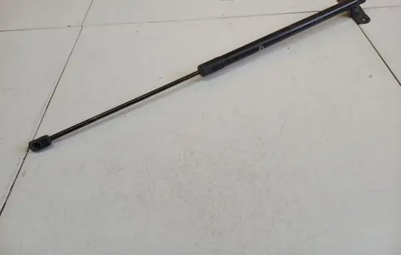 Ford C-MAX II Front bonnet/hood damper/strut AM51R406A10AF