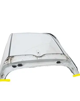 Toyota Prius (XW50) Roof 