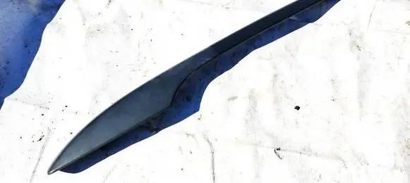 Volkswagen PASSAT B6 Roof bar rail 3C9860026A
