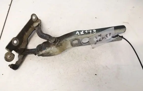 Skoda Octavia Mk2 (1Z) Tailgate/trunk/boot hinge 1z0823301c