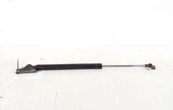 Tailgate strut