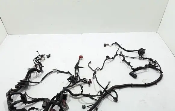 Chrysler Pacifica Other wiring loom 68228253AG