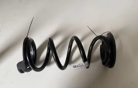Ford Mustang VII Rear coil spring S650 PR3C5560DC