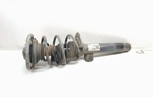 Front shock absorber with coil spring