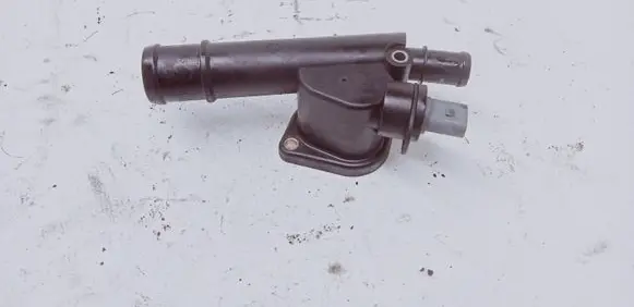 Thermostat/thermostat housing