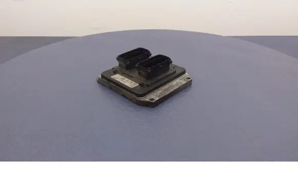 Engine control unit/module ECU