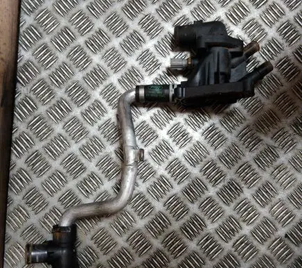 Thermostat/thermostat housing