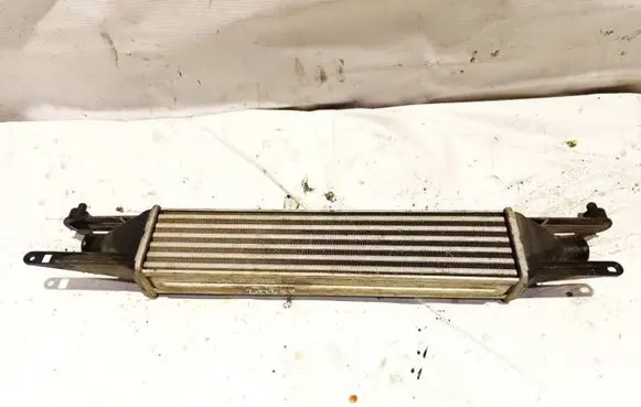 Fiat Punto (188) Intercooler radiator 866450200