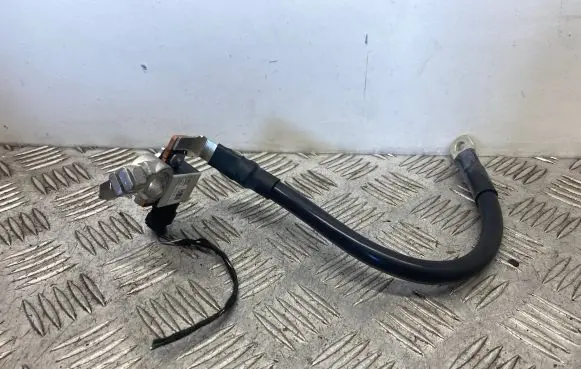 Negative earth cable (battery)