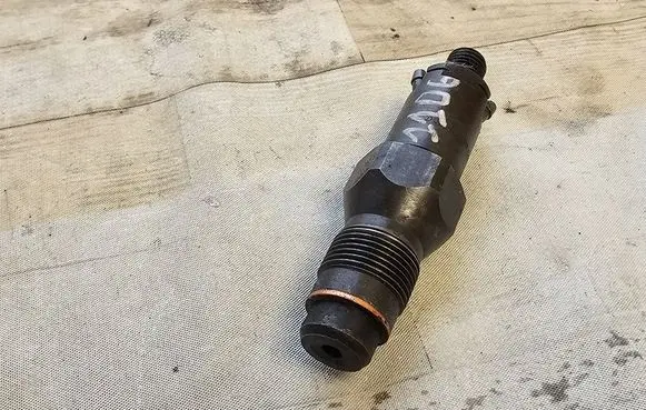 Citroen Berlingo Fuel injector LCR6736001