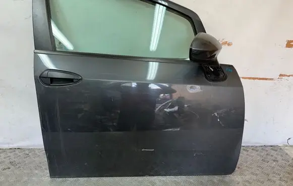 Fiat Punto Evo Front door
