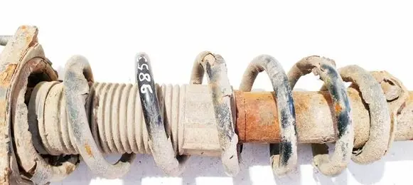 Rear coil spring