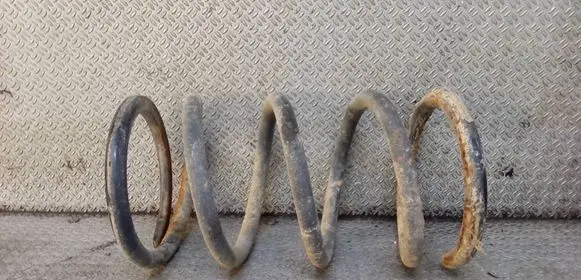 Toyota RAV 4 (XA20) Rear coil spring 