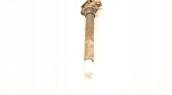 Citroen C5 Fuel injector