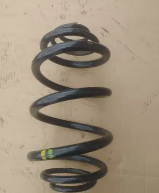 Renault Trafic III (X82) Rear coil spring 550202870R