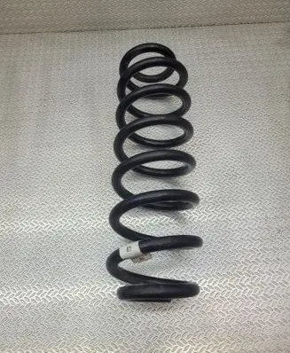 Volkswagen Tiguan Rear coil spring 5GF511115BE