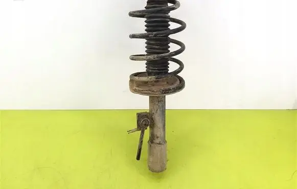 Peugeot 307 Front shock absorber with coil spring