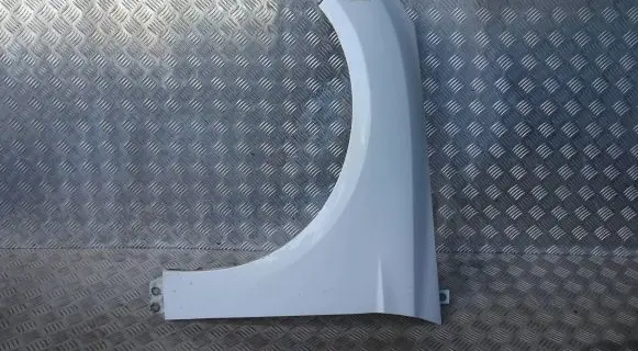 Ford Focus Fender