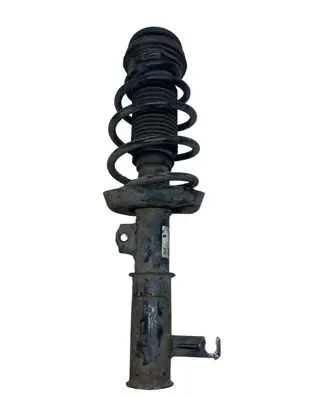 Opel Insignia A Front shock absorber/damper 367327926 E4612701