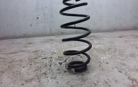 Fiat Doblo Rear coil spring
