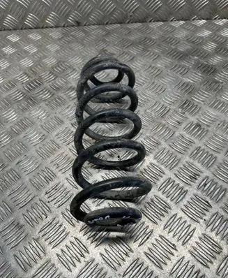 Rear coil spring