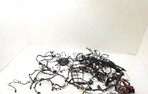 Dacia Sandero III Wiring harness 