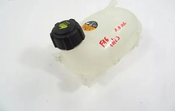 Nissan Juke II F16 Coolant expansion tank/reservoir 217102572R