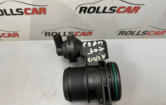 Peugeot 307 Throttle valve 9636300980