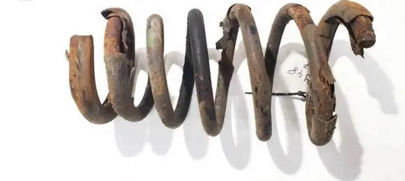Rear coil spring