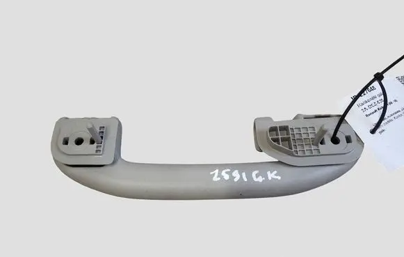 Renault Koleos I Rear interior roof grab handle