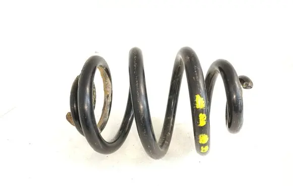 Rear coil spring