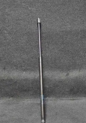 Tailgate/trunk strut/damper
