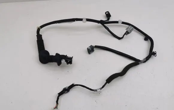 Rear door wiring loom