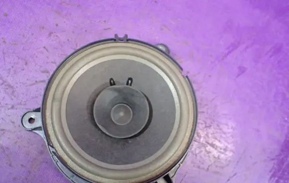 Front door speaker
