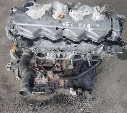 Nissan Almera Tino Engine 32286 Aw4