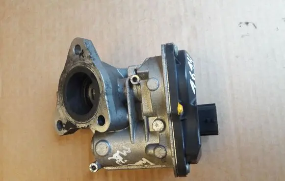 EGR valve