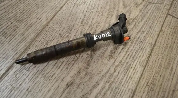 Fiat Ducato Fuel injector 0445116059