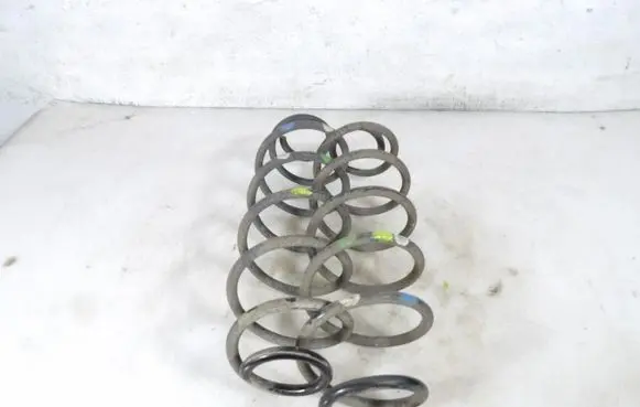 Rear coil spring