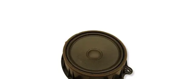 Tesla Model Y Front door speaker 107974400E