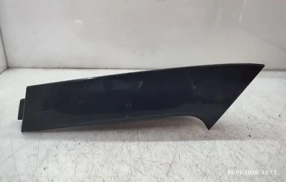 Rear/tail light trim molding