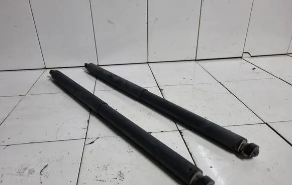 Opel Insignia A Tailgate/trunk strut/damper 005128 315005777