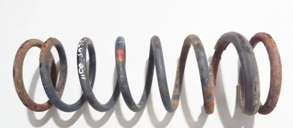 Ford Focus Rear coil spring