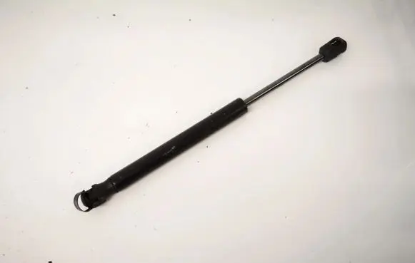Chrysler 300 - 300C Tailgate/trunk strut/damper 205ge004