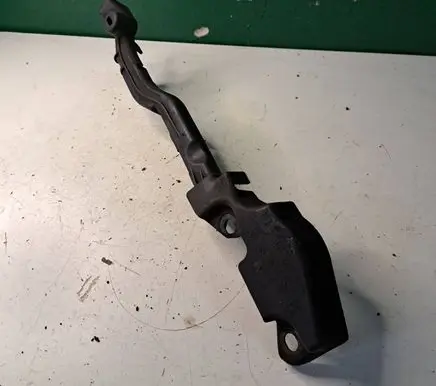 Engine bonnet/hood lock trim molding