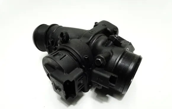 Citroen C4 I Throttle valve 9660030480 25365285