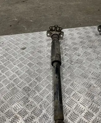 Rear shock absorber/damper