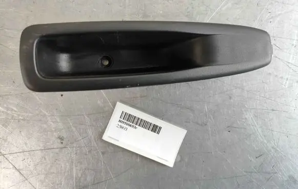 Renault Zoe Other rear door trim element 809500693R